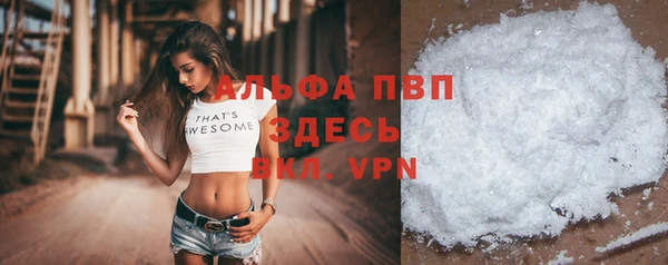 гашик Дмитров