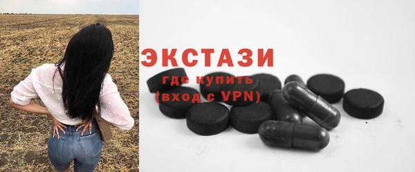 гашик Дмитров