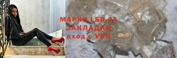 гашик Дмитров