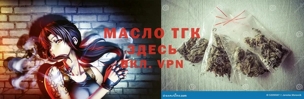 сатива Великий Новгород