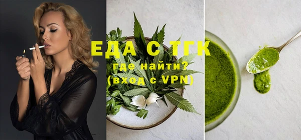 гашик Дмитров