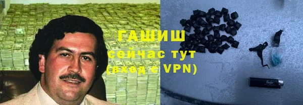 гашик Дмитров