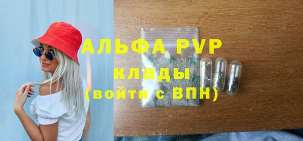 гашик Дмитров